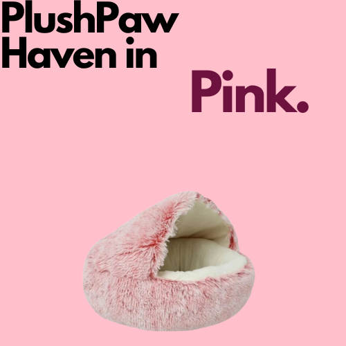 PlushPaw Haven